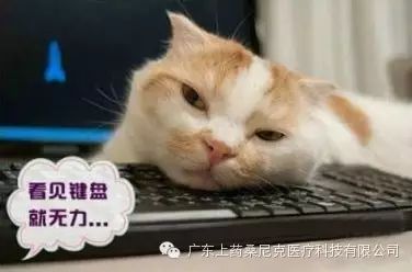 上藥桑尼克任性發(fā)大米?。?！(圖1)