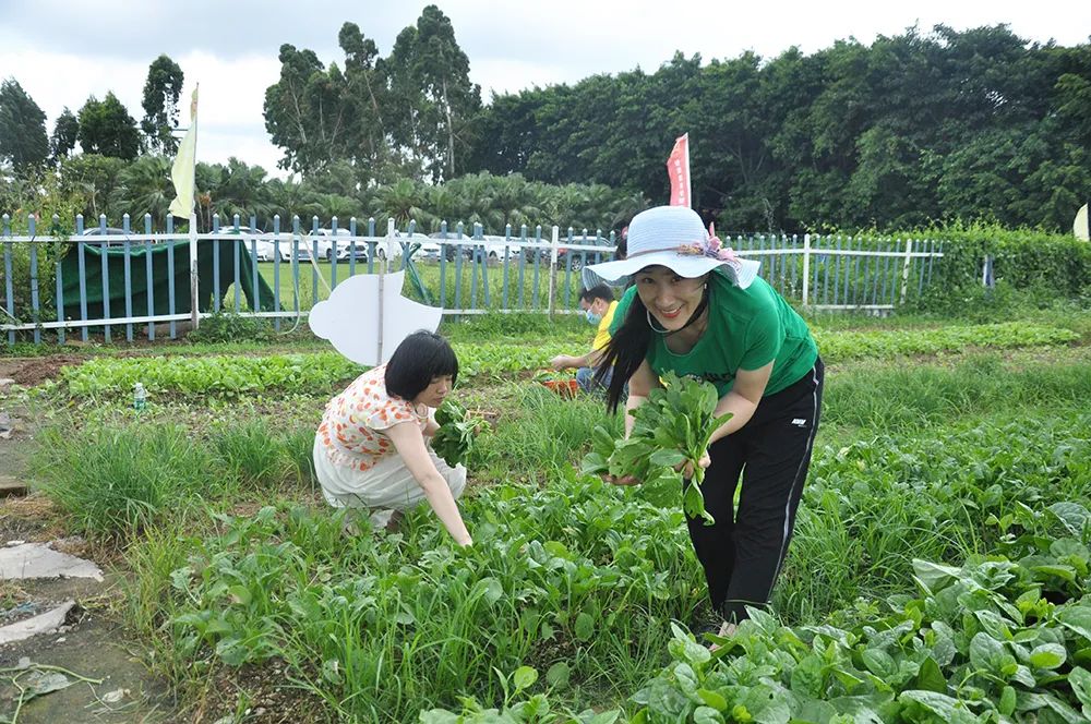 上藥桑尼克粵暉園野炊休閑活動歡樂上演(圖17)