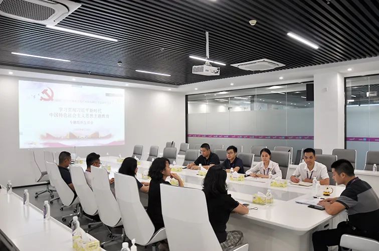 上藥桑尼克黨支部召開“學(xué)習(xí)貫徹習(xí)近平新時代中國特色社會主義思想主題教育”專題組織生活會(圖2)